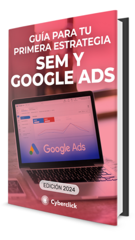 SEM&Google Ads 2024