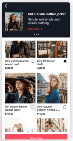 Collection Ads TikTok