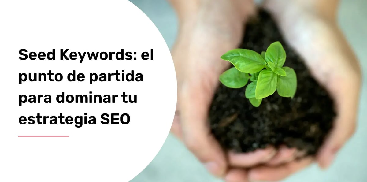 seed keywords que son
