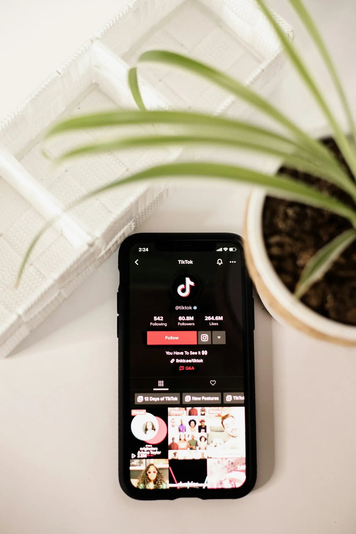 tiktok shop catalogo
