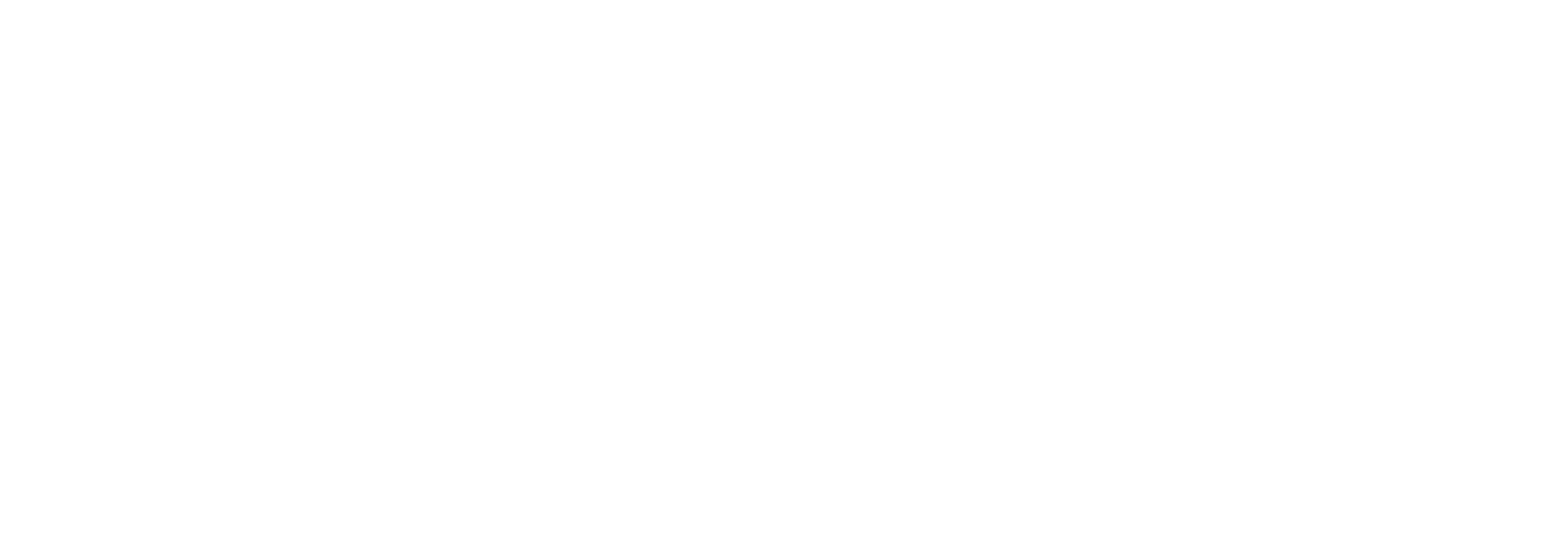 IA_TikTok-logo-RGB-Horizontal-white-simplified