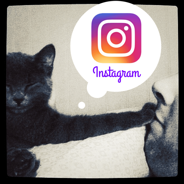 5_cosas_sobre_Instagram_que_cualquier_marketer_debe_saber.png