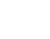 IA-expert-program-logo