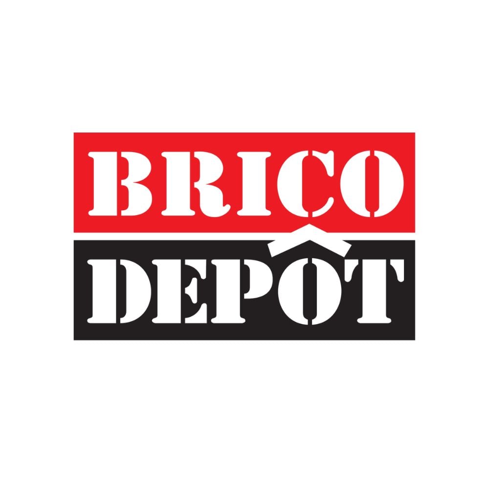 Logo de Brico Depot
