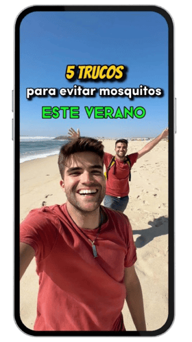 Página_influencer_mkt_mockup_mobile-removebg-preview