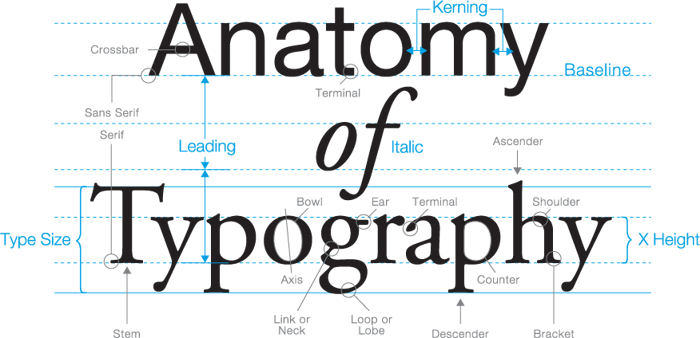 Anatomy-of-Typography