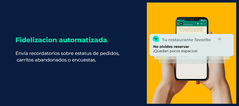 whatsapp business restauracion