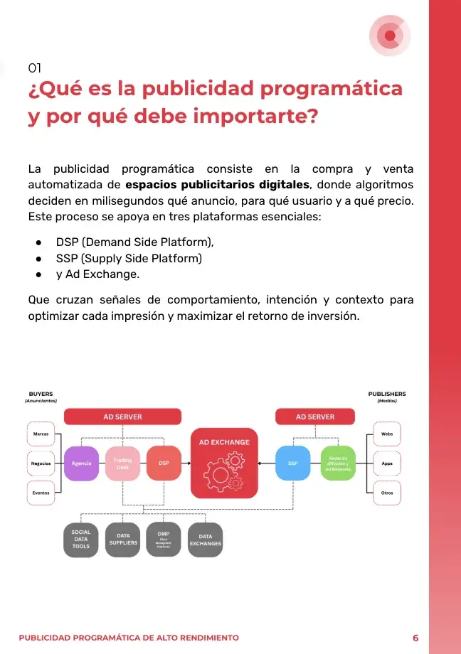 Guia Definitiva Sobre la Publicidad Programatica 2025