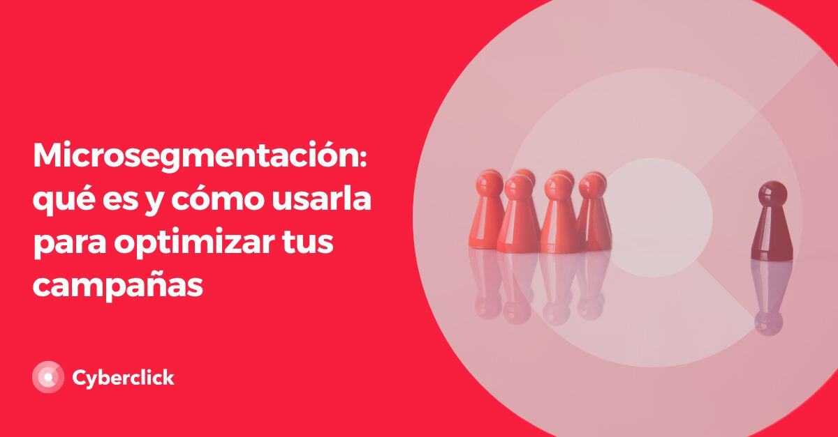 Microsegmentacion que es y como usarla para optimizar tus campañas