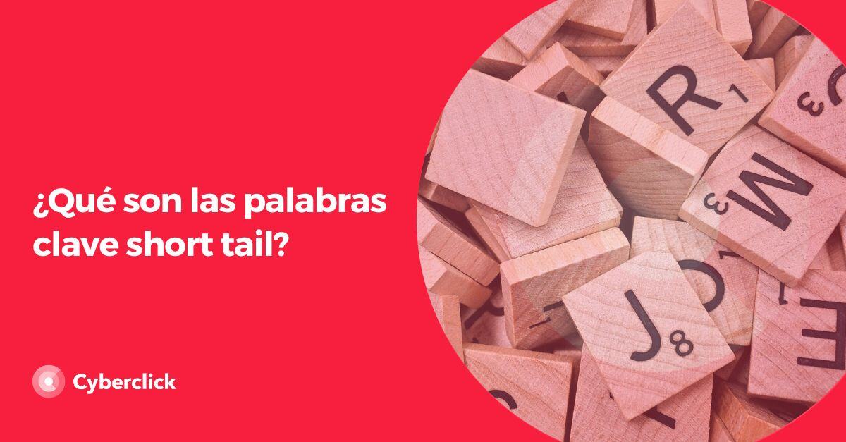 Que son las palabras clave short tail