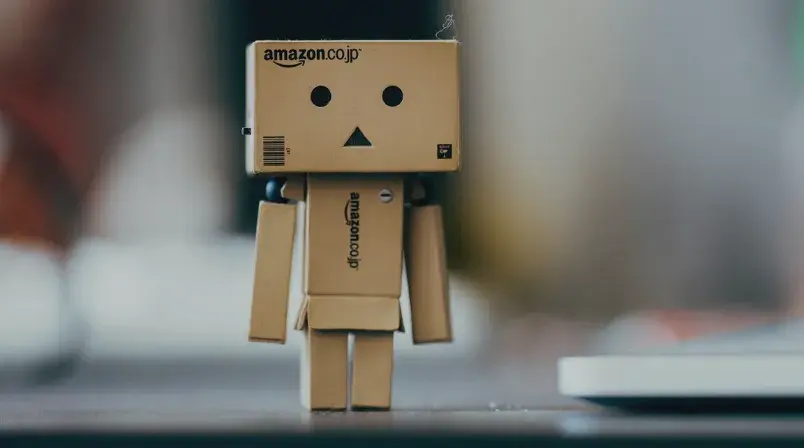 agencia amazon ads vs gestion interna