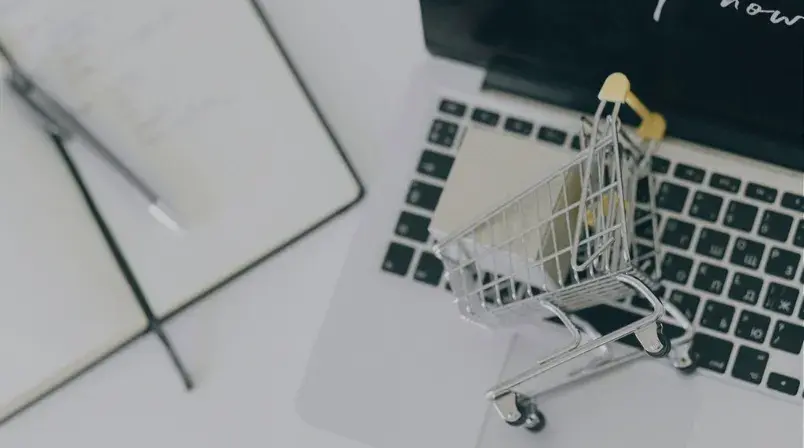 catalogo amazon estrategia