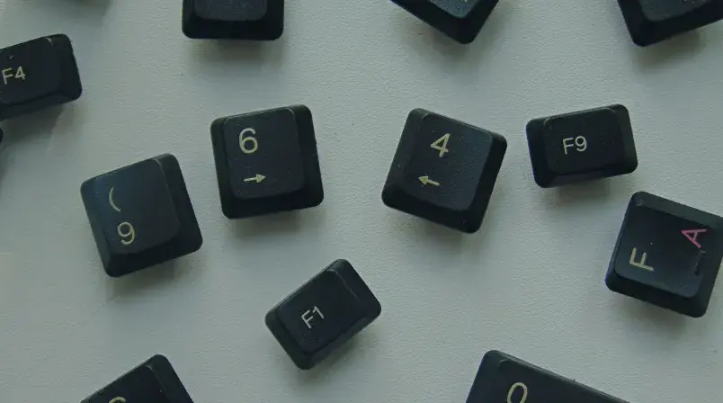 ¿Cuáles son las diferencias entre hosting y dominio?