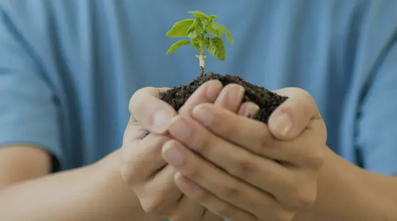 Seed Keywords: el punto de partida para dominar tu estrategia SEO