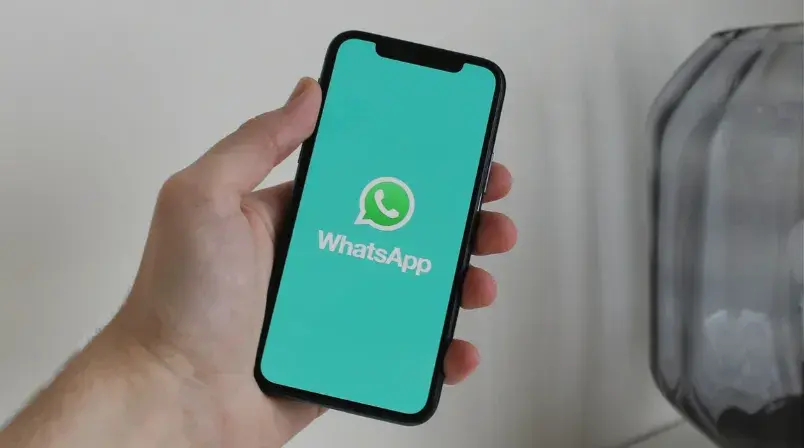 whatsapp business api