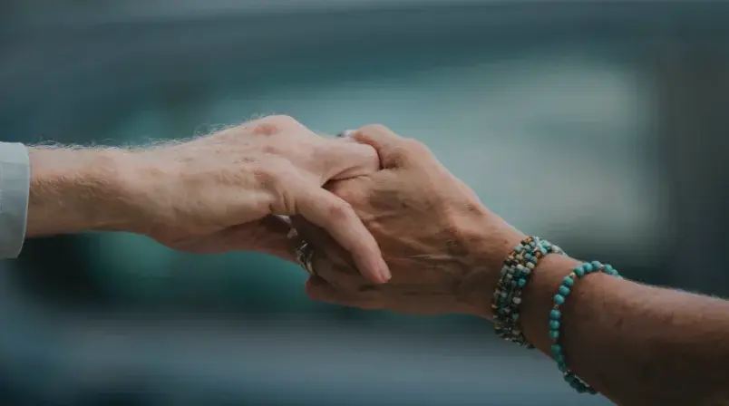 chief-empathy-officer-por-que-la-empatia-impulsa-la-cultura-de-las-empresas-felices