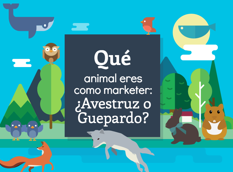 Qe_animal_eres_como_marketer_avestruz_o_guepardo_-_Header.png