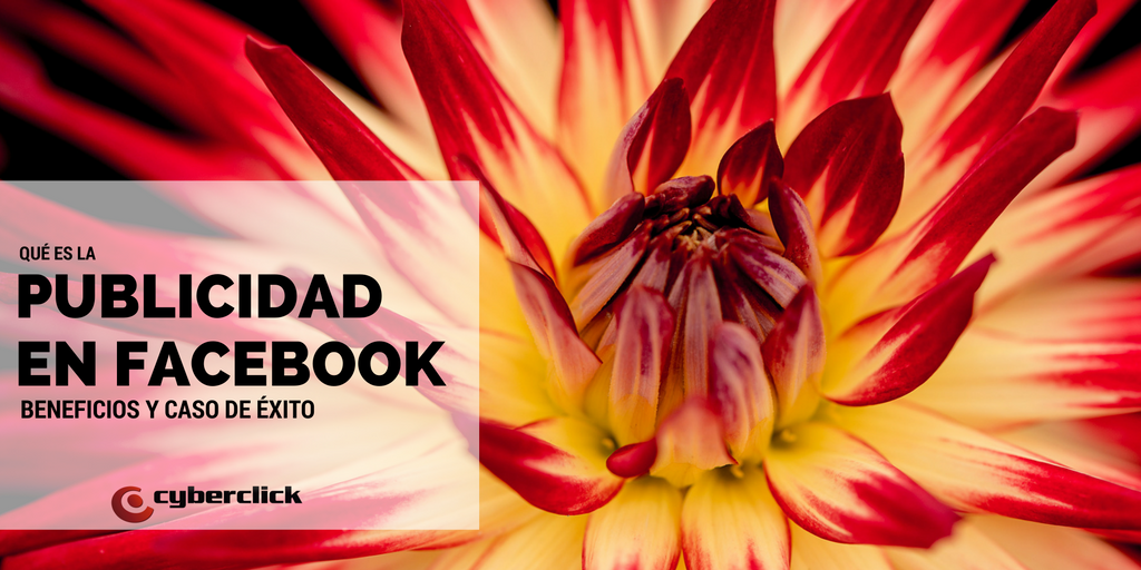 Que es la publicidad en Facebook beneficios y ejemplos