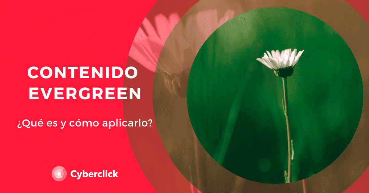 Que es el contenido evergreen