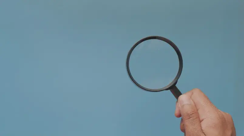 posicionamiento organico ventajas