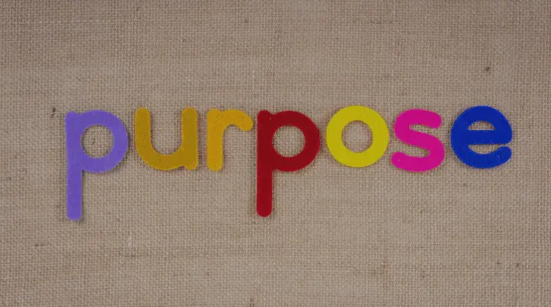 purpose-washing-que-es-y-por-que-se-debe-evitar